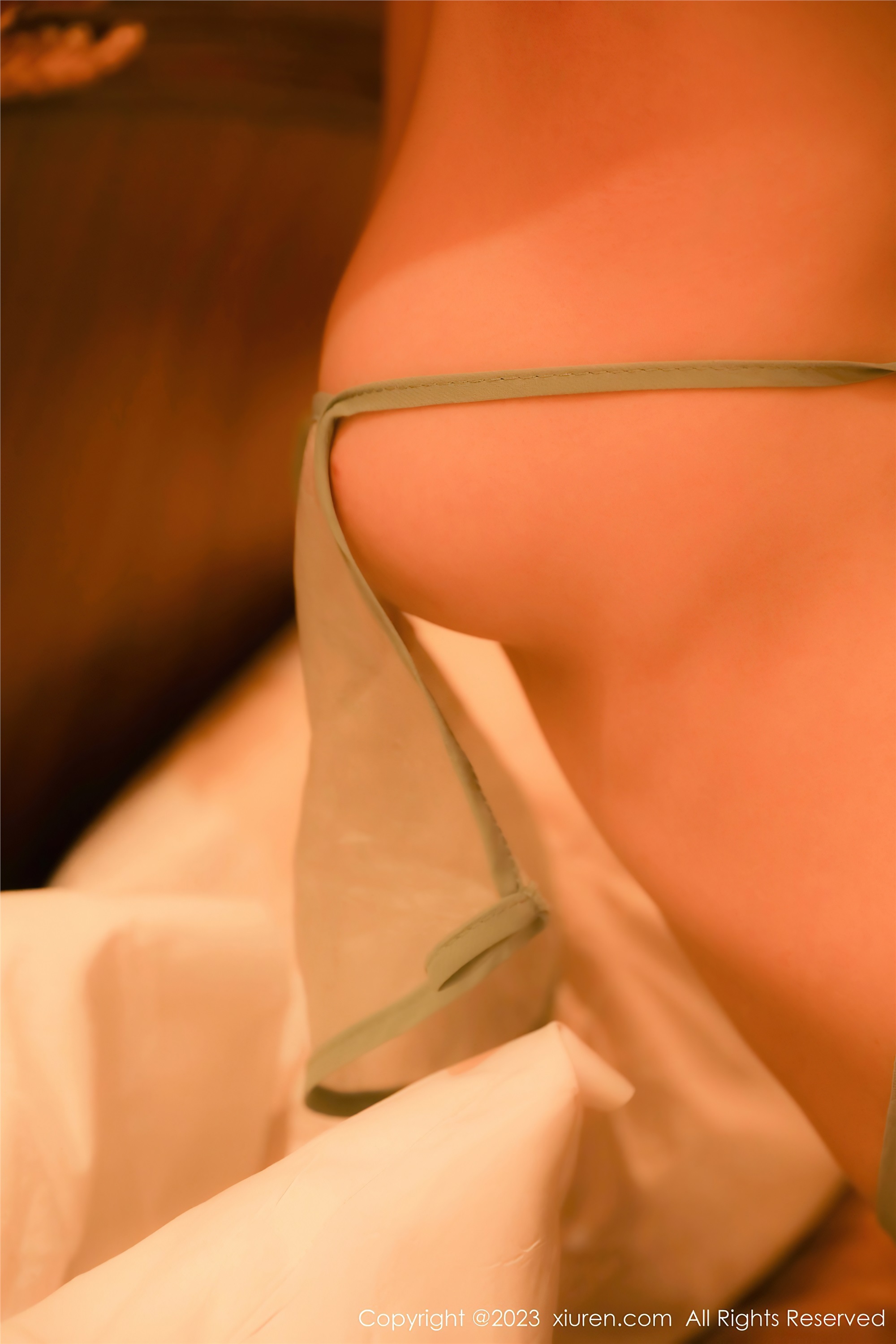 Xiuren秀人网 2023.09.01 NO.7321 林悠悠